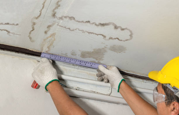 Reliable Basement Water Removal contractor in Fountain, CO by Water Damage Irwin